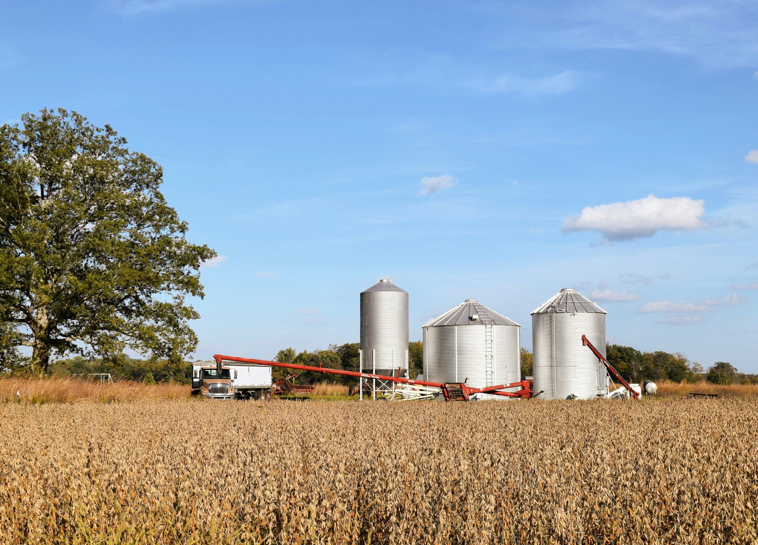 Farm Silos